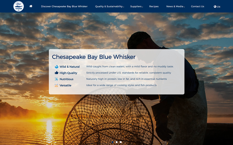 美灣藍須魚-海鮮外貿(mào)網(wǎng)站-新加坡網(wǎng)站